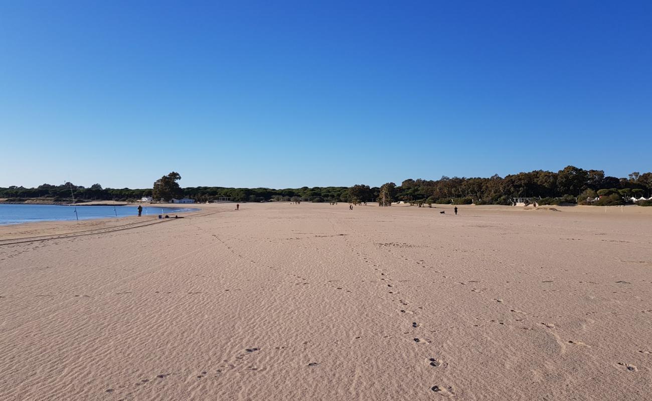 Foto af Playa de la Puntilla med lys fint sand overflade