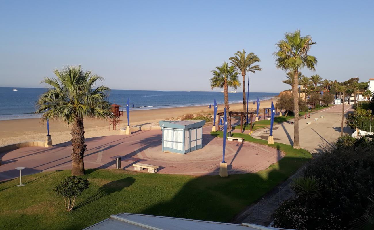 Foto af playa de la barrosa med lys sand overflade