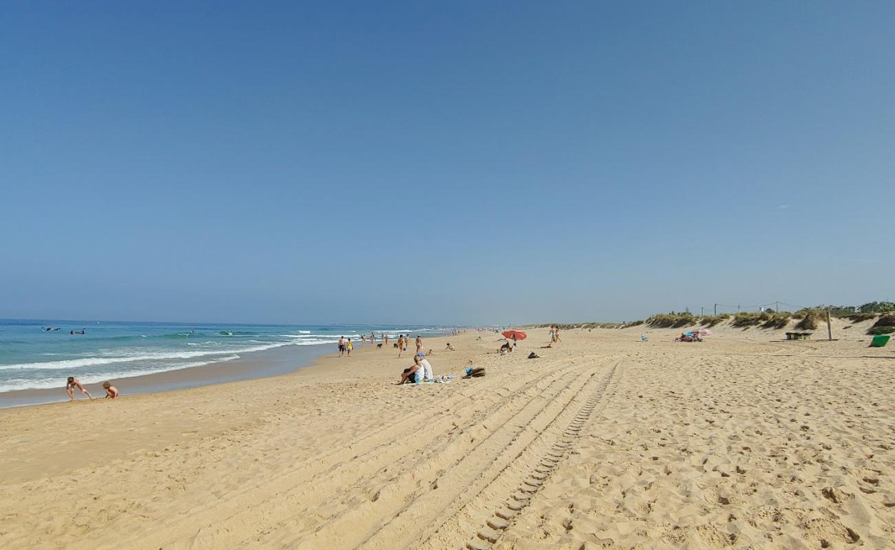 Foto af El Palmar Beach med lys sand overflade