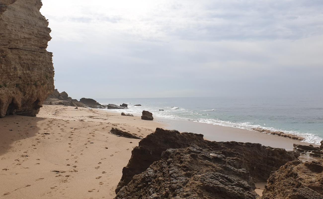 Foto af Playa canos de meca vildt område