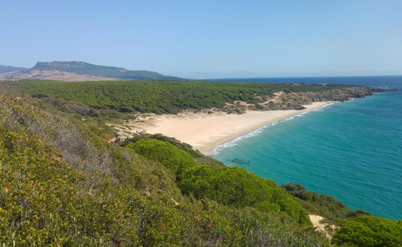 Foto af Canuelo Strand med lys fint sand overflade