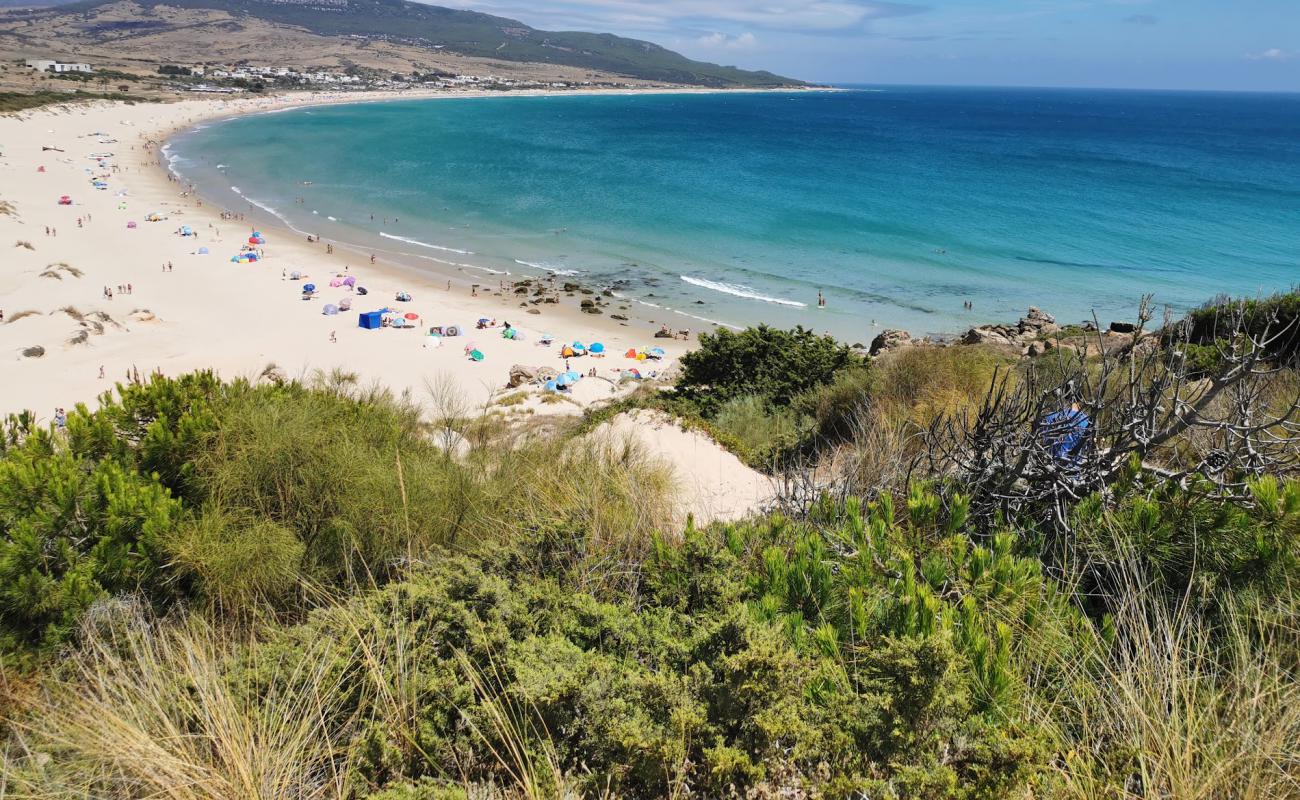 Foto af Bolonia Strand med lys fint sand overflade