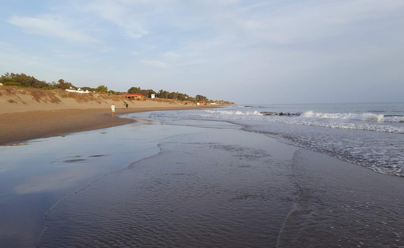 Foto af Playa del Rosario med grå sand overflade