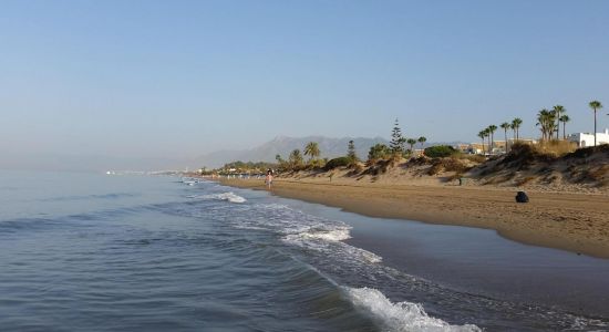 Playa de la Vibora