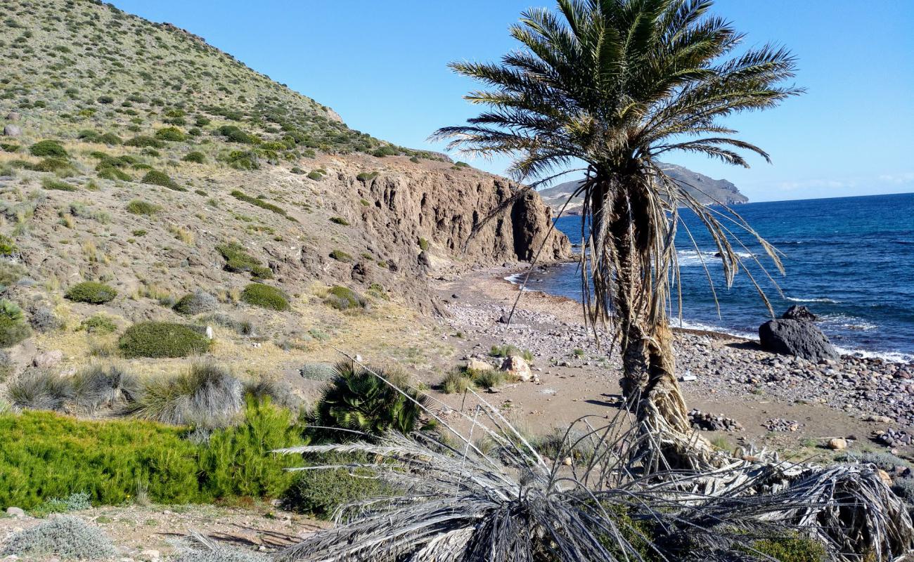 Foto af Cala de los Toros med gråt sand og sten overflade