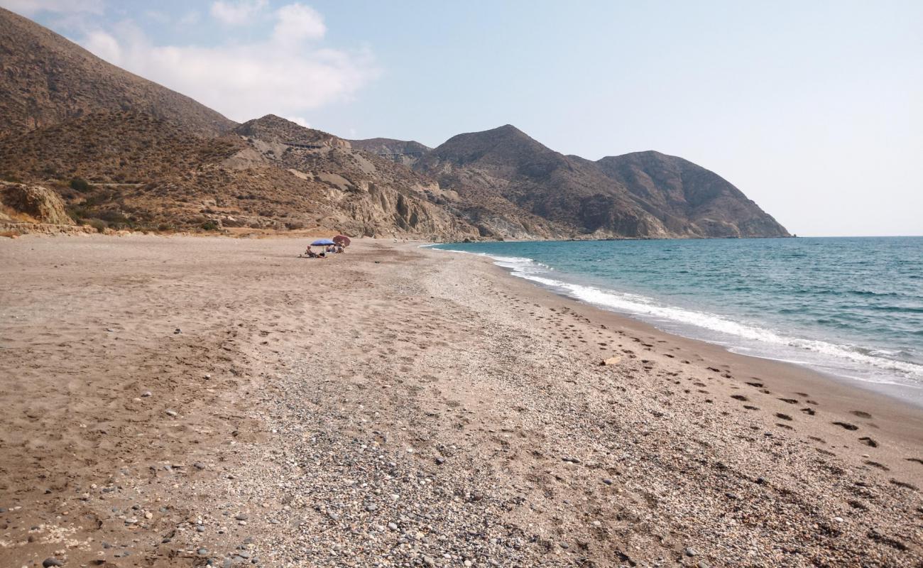 Foto af Playa el Algarrobico med lys skaldesand overflade