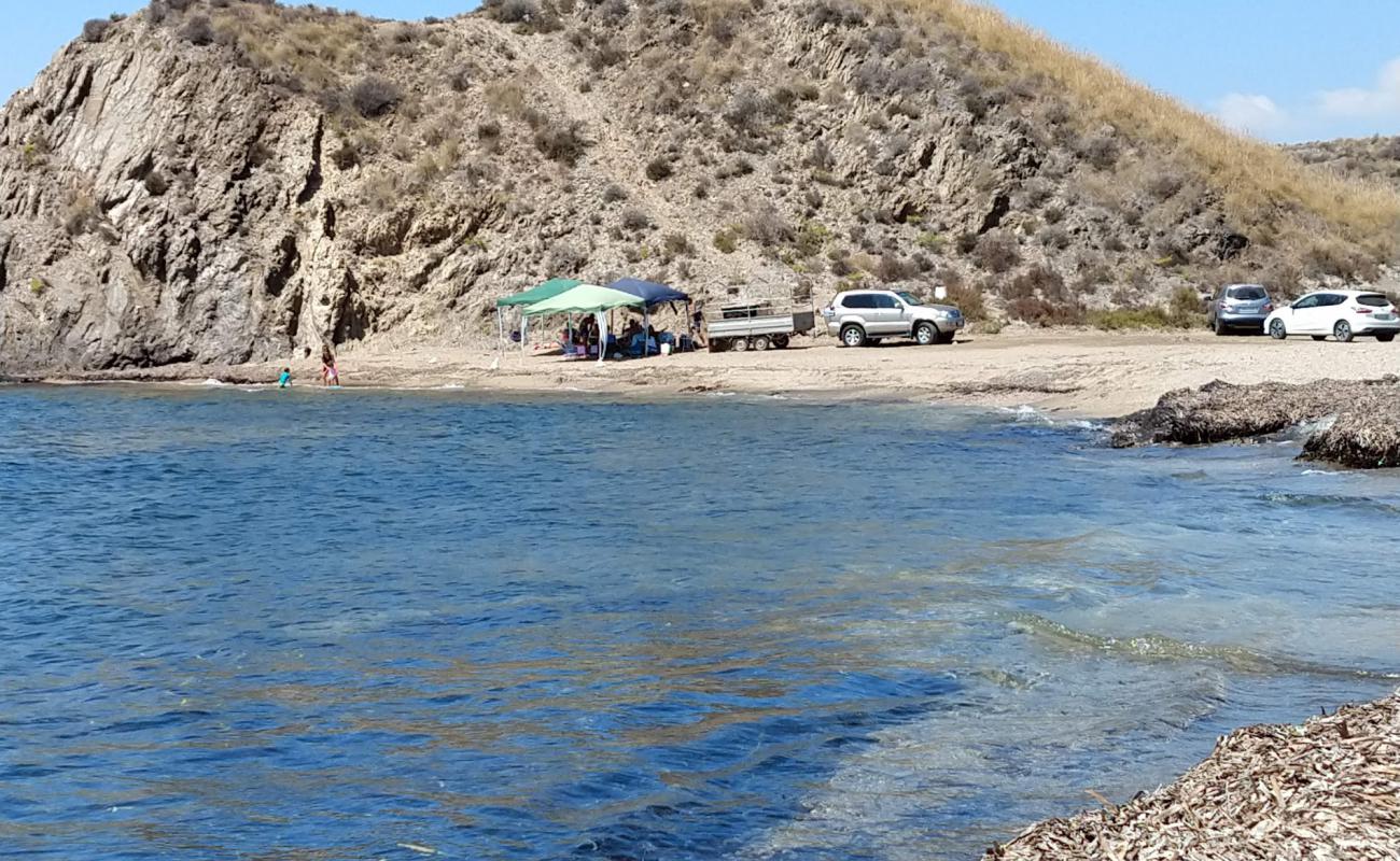 Foto af Cala del Pino med brunt skallesand overflade