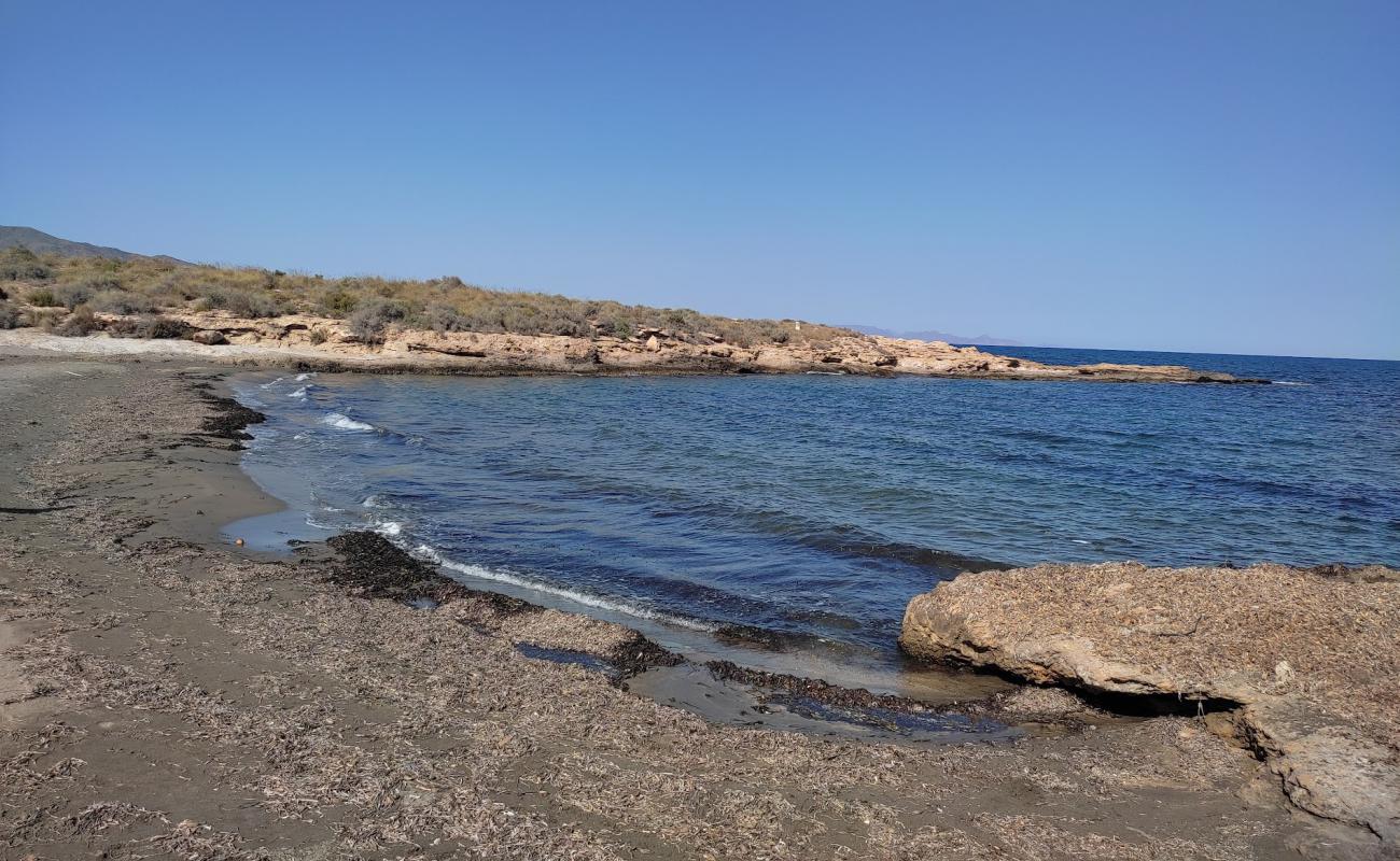 Foto af Playa del Pocico del Animal med grå sand overflade