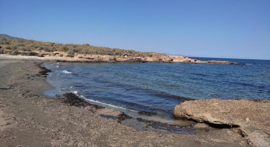 Playa del Pocico del Animal