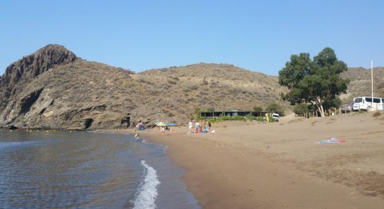 Cala de Calnegre