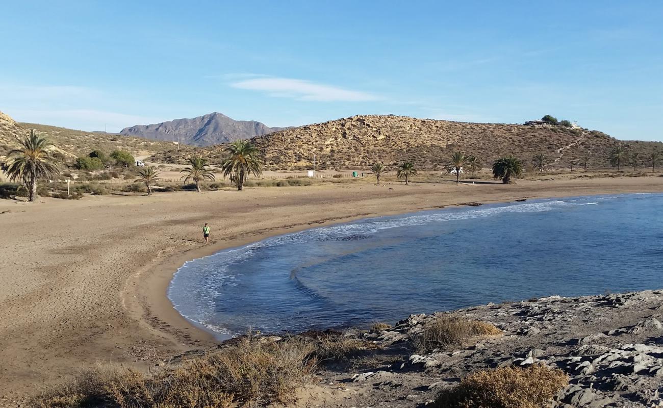 Foto af Percheles Strand med brunt sand overflade