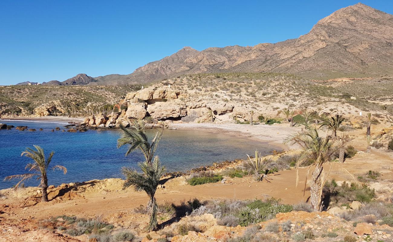 Foto af Playa de La Grua med brunt sand overflade