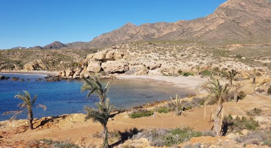 Playa de La Grua