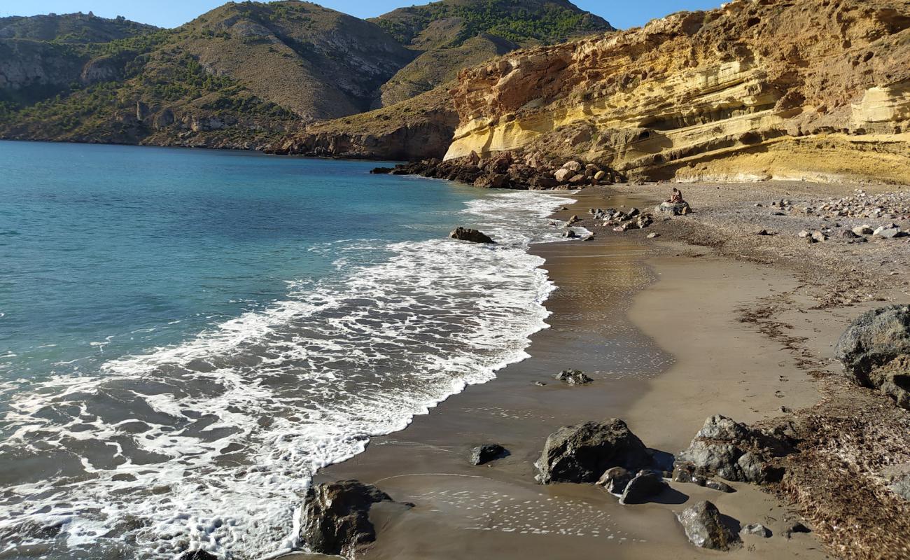 Foto af Playa de la Avispa med gråt sand og småsten overflade