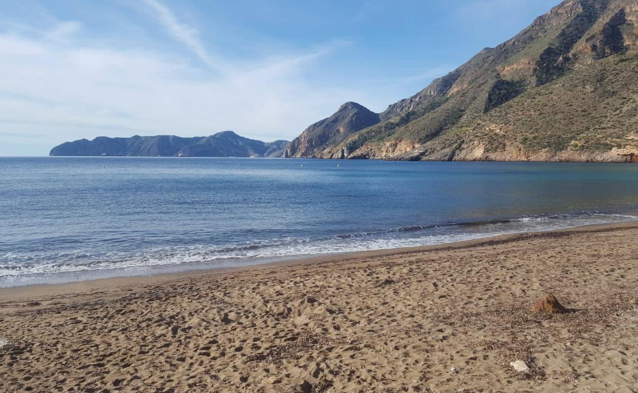 Foto af Playa de la Morena med gråt skallesand overflade