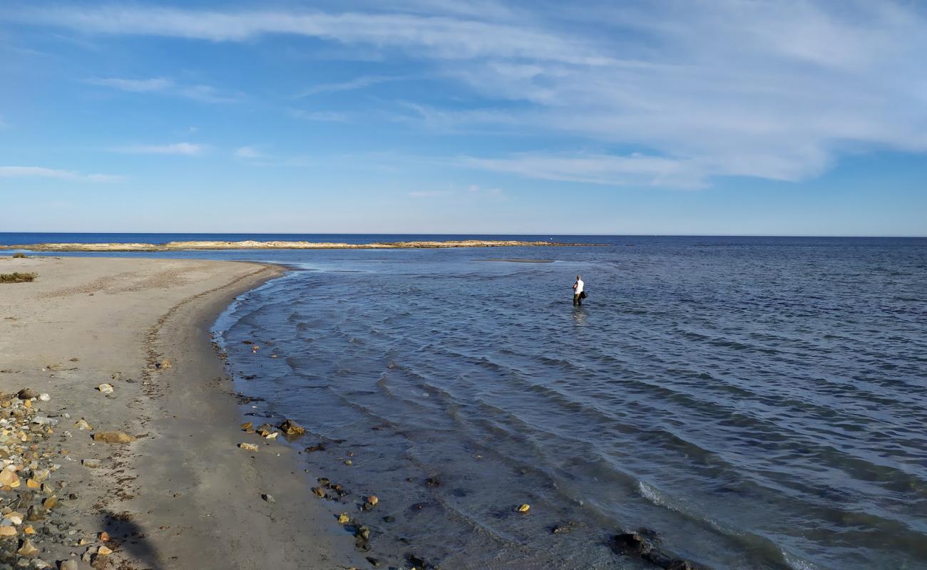 Foto af Veneziola Beach med grå sand overflade