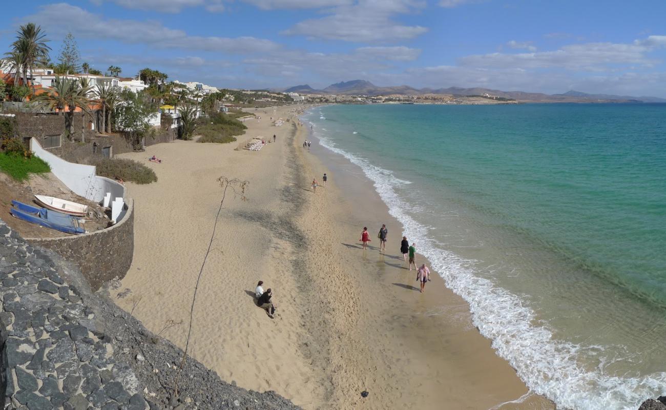 Foto af Costa Calma Strand med lys fint sand overflade