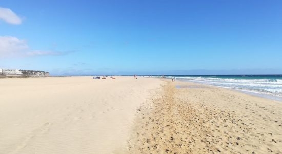 Gaviotas Strand