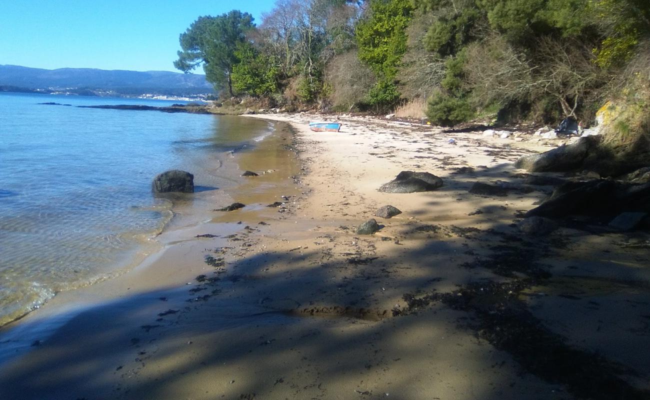 Foto af Trunk beach med lys sand overflade