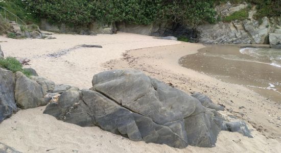 Playa de insua