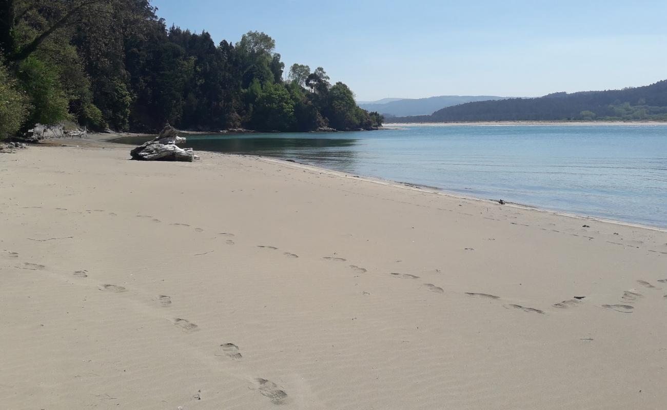 Foto af Playa de Figueiras med lys fint sand overflade