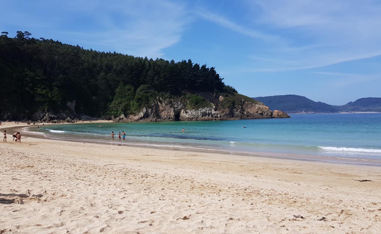 Foto af Xilloi Strand med hvidt fint sand overflade