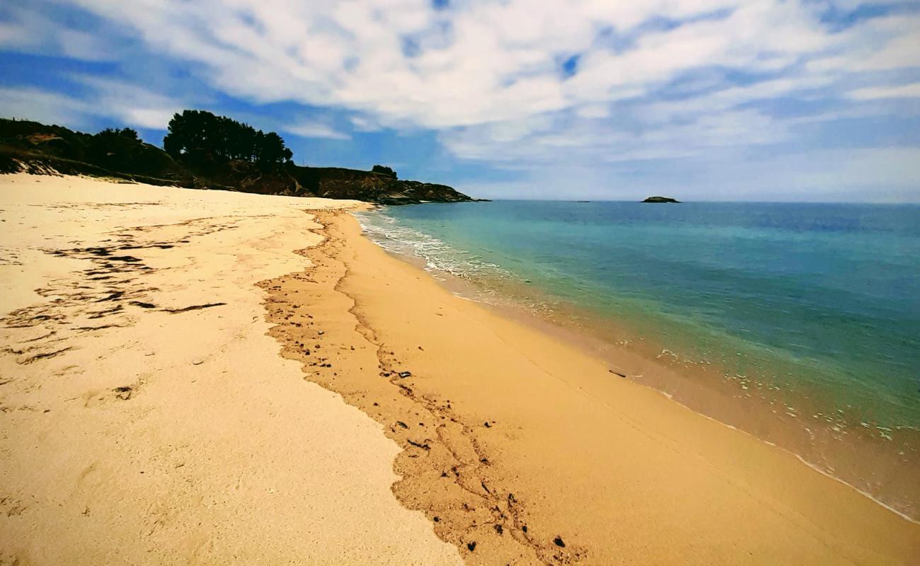 Foto af Praia Ama med lys sand overflade