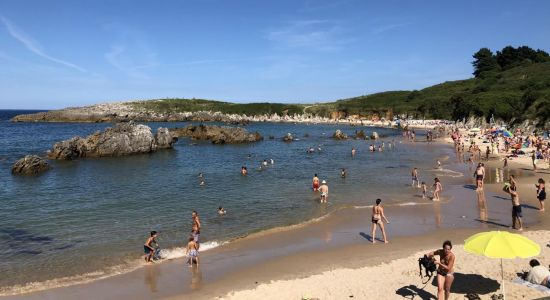 Playa de Toro