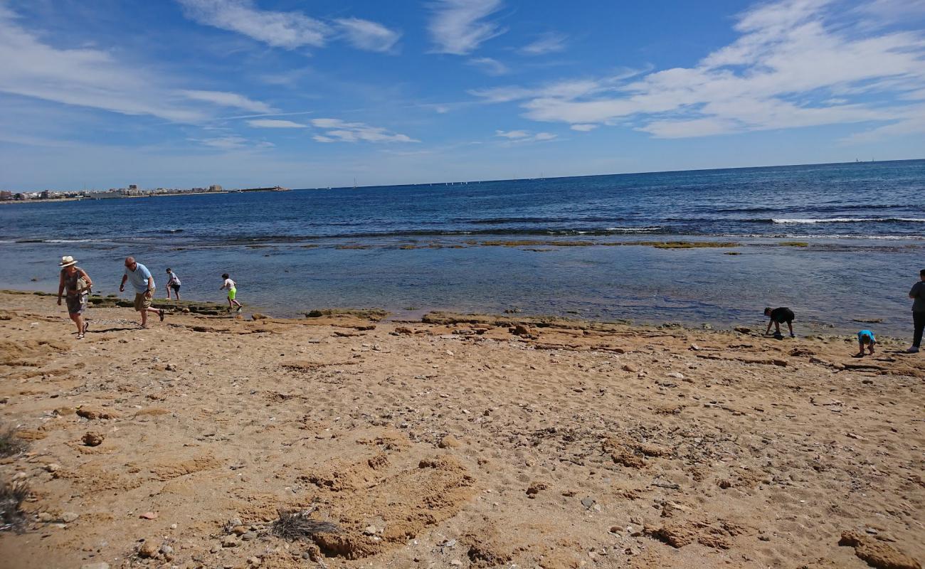 Foto af Playa Torrevieja med sten overflade