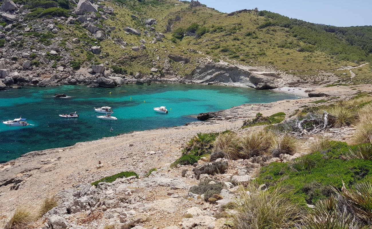 Foto af Cala Figuera med grå sten overflade