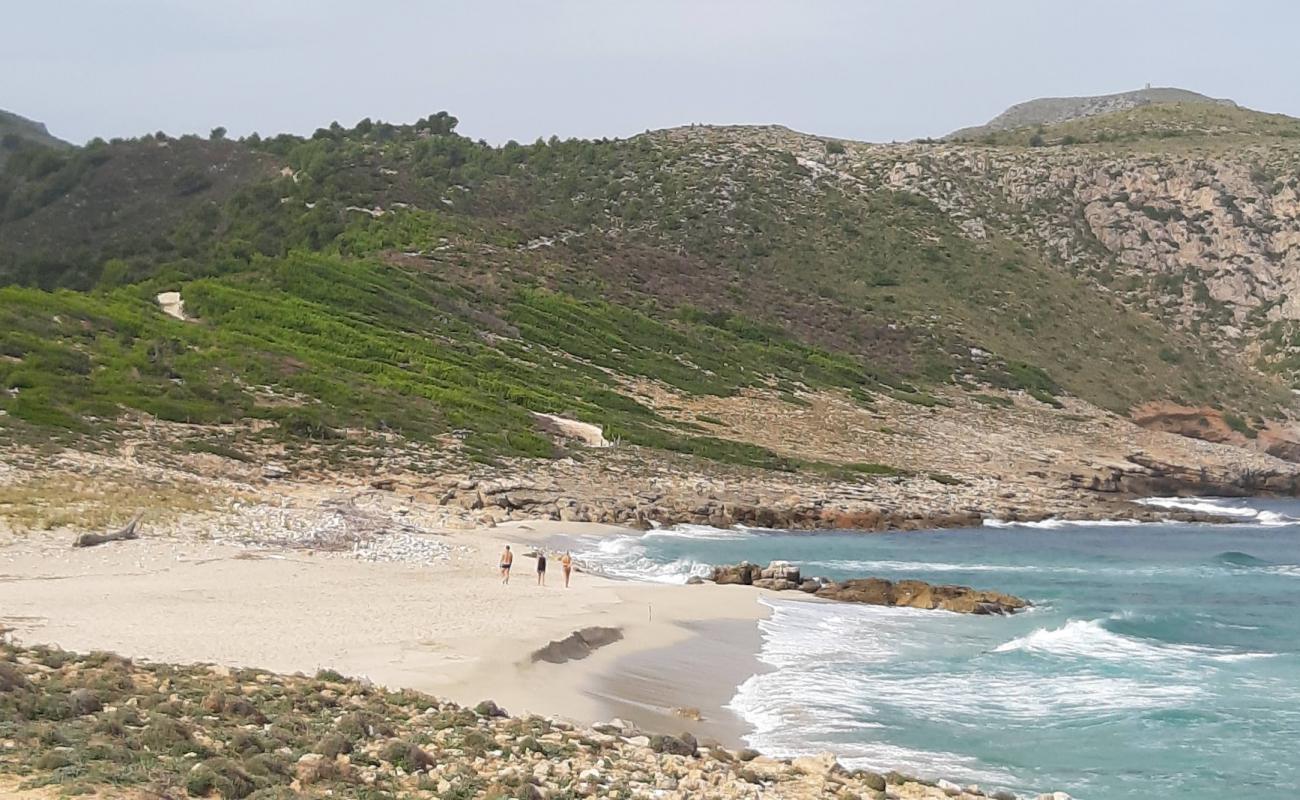 Foto af Playa S'Arenalet des Verger med grå sand overflade