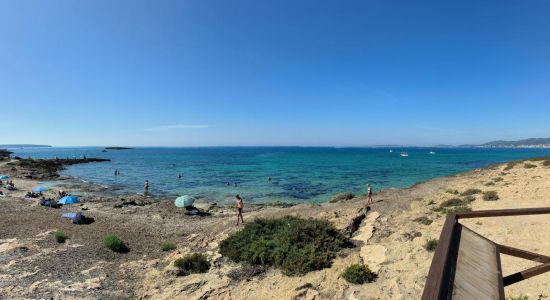 Playa de Son Caios