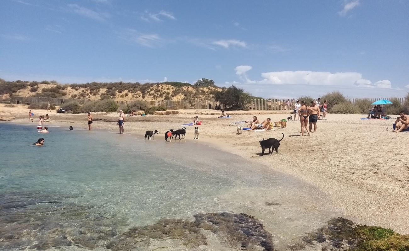 Foto af Platja Per a Cans med lys sand overflade