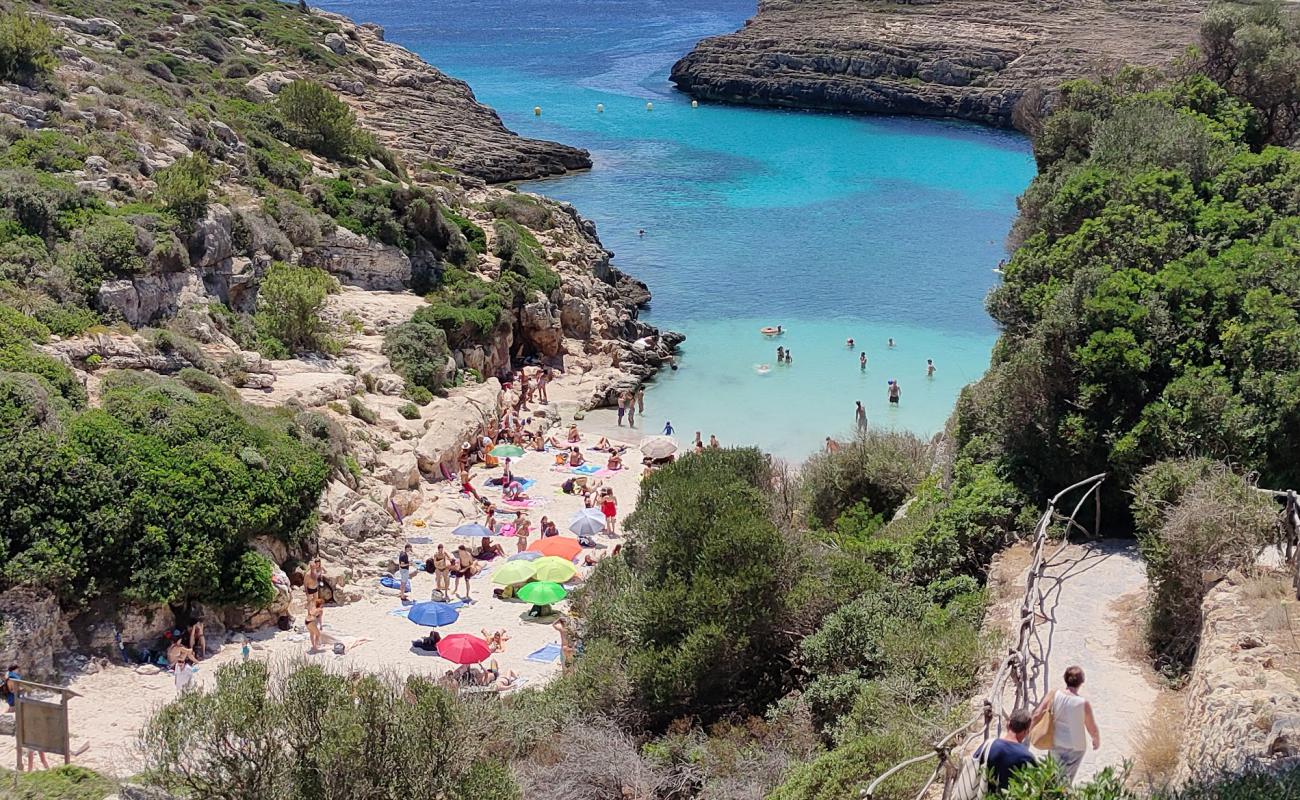 Foto af Cala Binidali med lys sand overflade