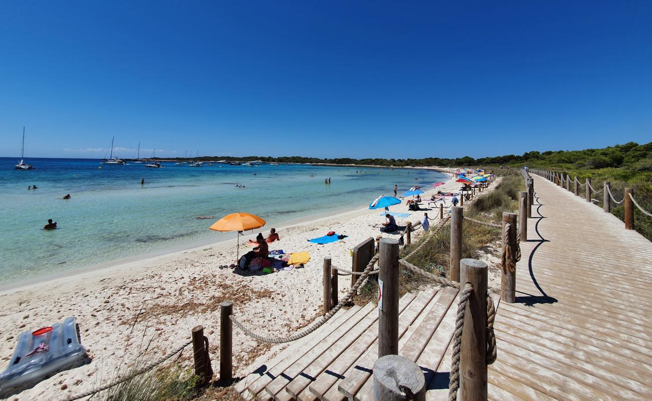 Foto af Platja de Son Saura med lys sand overflade