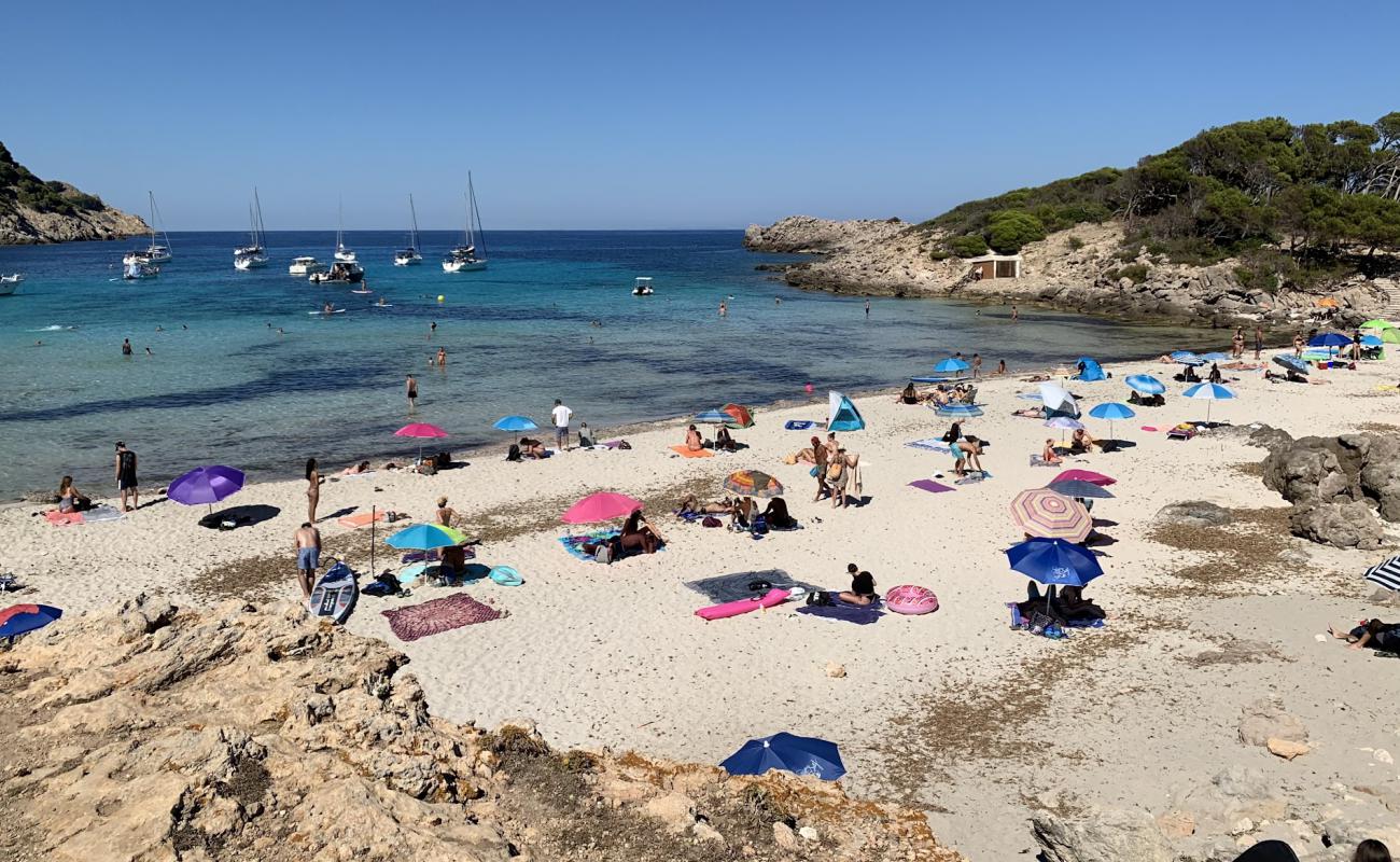 Foto af Platja de Ses Cavasses med sten overflade