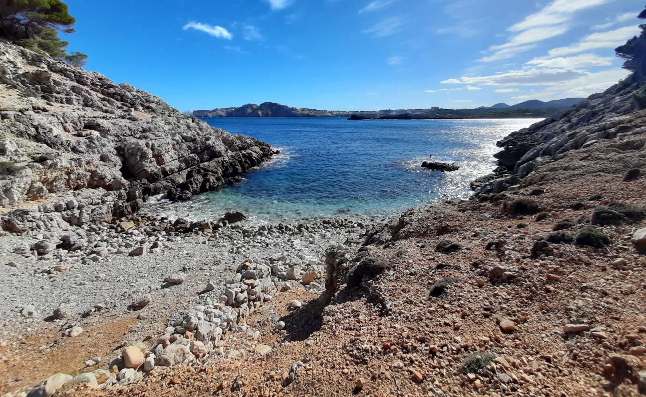 Foto af Cala de na Llobriga med sten overflade