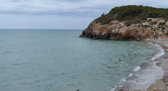 Platja de l'Home Mort