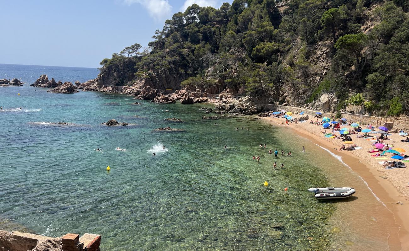 Foto af Rosamar Cala med lys sand overflade