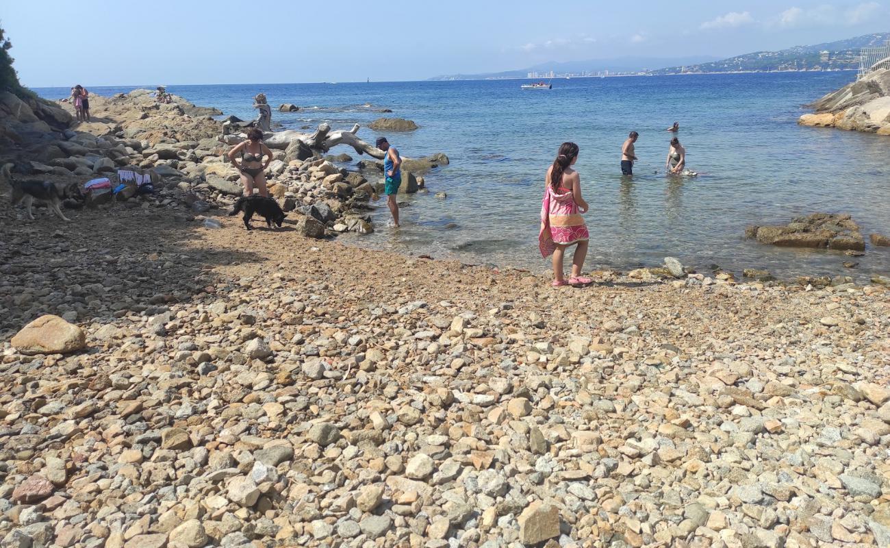 Foto af Playa Pere Grau med sten overflade