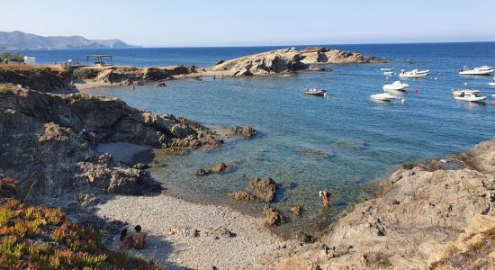 Platja de Cap de Bol