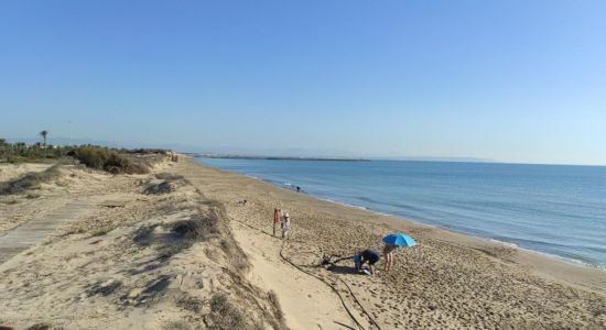 Playa Los Viveros