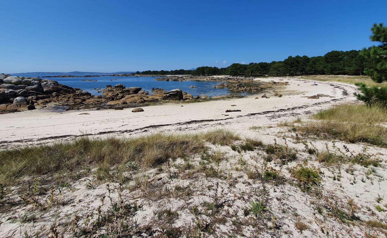 Foto af Praia Lontreira med lys sand overflade