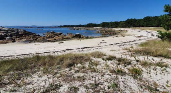 Praia Lontreira