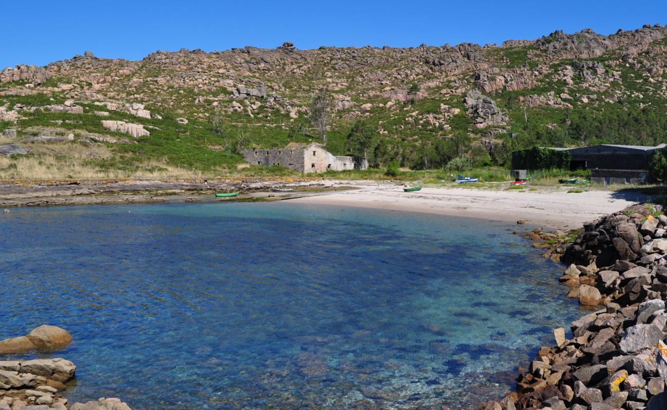 Foto af Praia de Canelinas med lys sand overflade