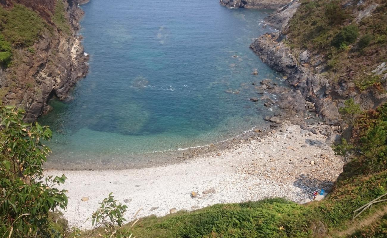 Foto af Playa de Monellos med sten overflade