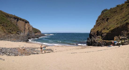 Playa de Coedo