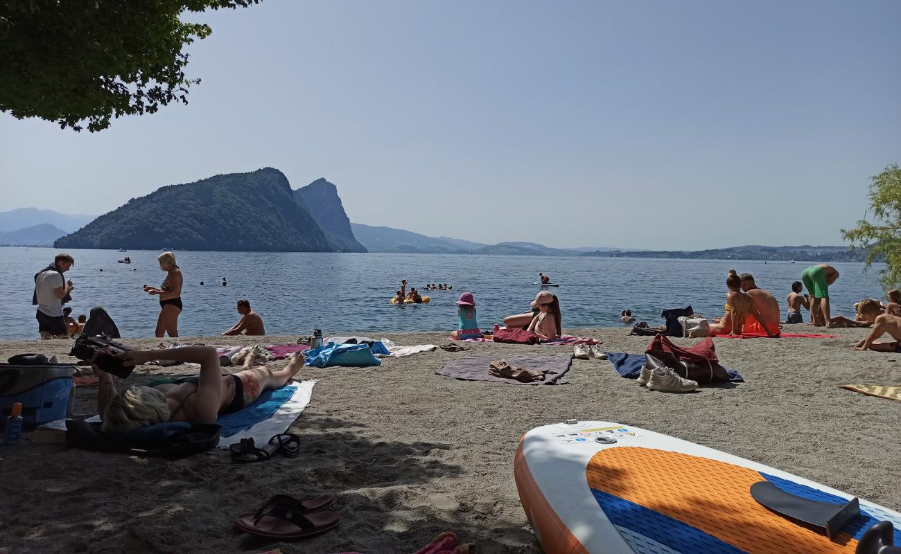 Foto af Vitznau Beach med let fin sten overflade