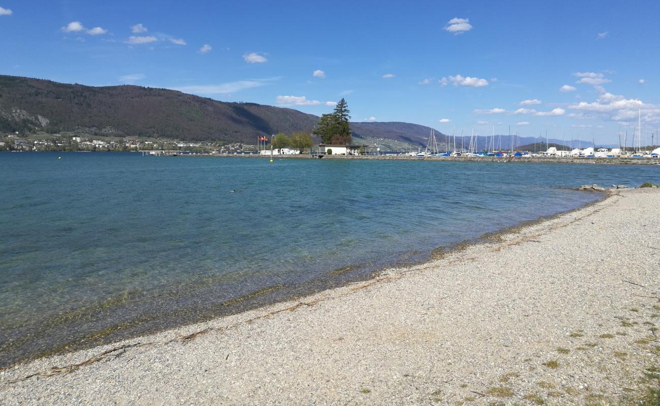 Foto af Erlach Strand med grå fin sten overflade