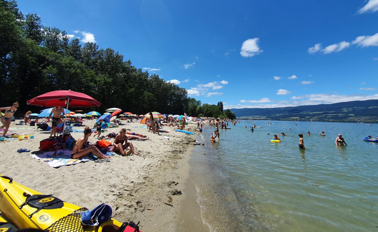 Foto af Plage des Pins d'Yvonand med lys sand overflade